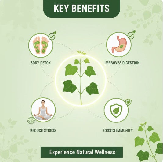 Herbal Giloy Foot Detox Patches - Buy 1 Get 1 Free | Style Elevate