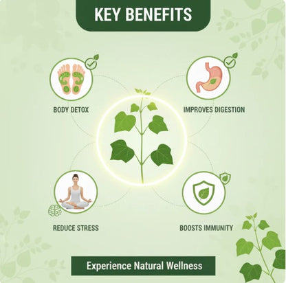 Herbal Giloy Foot Detox Patches - Buy 1 Get 1 Free | Style Elevate