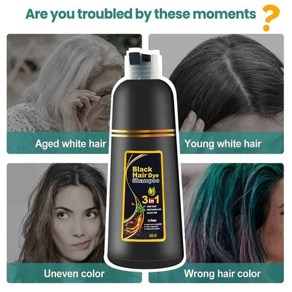 3 in 1 Black Hair Dye Shampoo